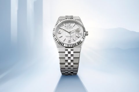 Rolex Land-Dweller Oyster, Oystersteel and white gold